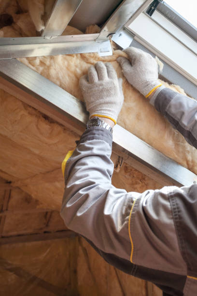 Best DIY Insulation Kits and Guidance in Rupert, WV